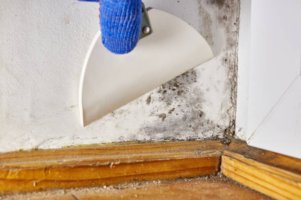 Best Post-Remediation Verification Testing  in Cave Creek, AZ