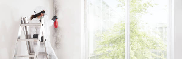 Best Forensic Mold Investigation  in Cave Creek, AZ