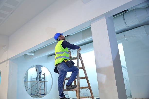 Best Biohazard Mold Removal  in Cave Creek, AZ